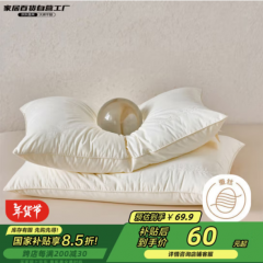 A类蚕丝枕头纯棉面料高回弹颈椎枕芯48*74cm单只装